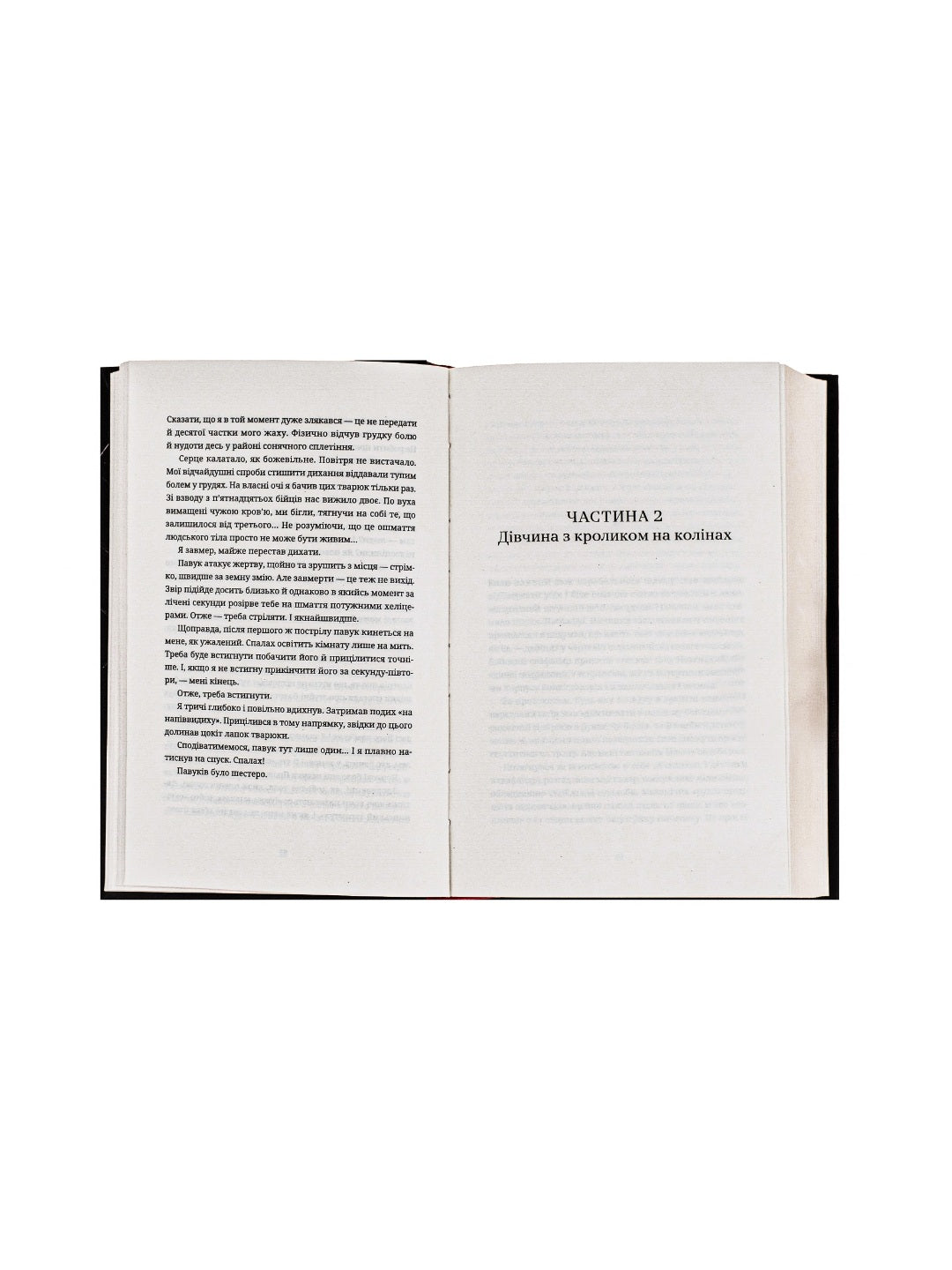 Танець недоумка. Ілларіон Павлюк