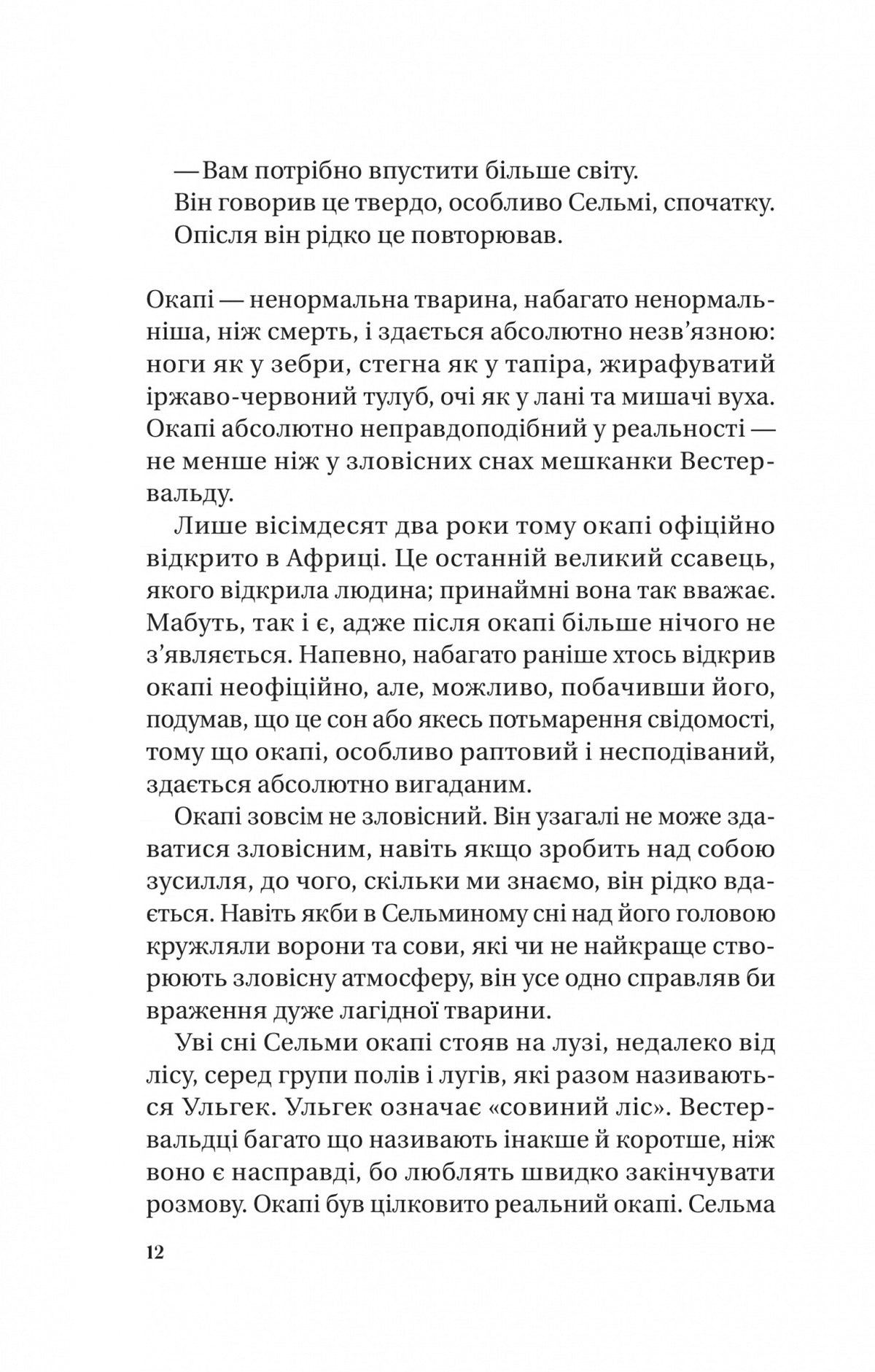 Те, що видно звідси. Маріана Лекі. Міжнародний Бестселер