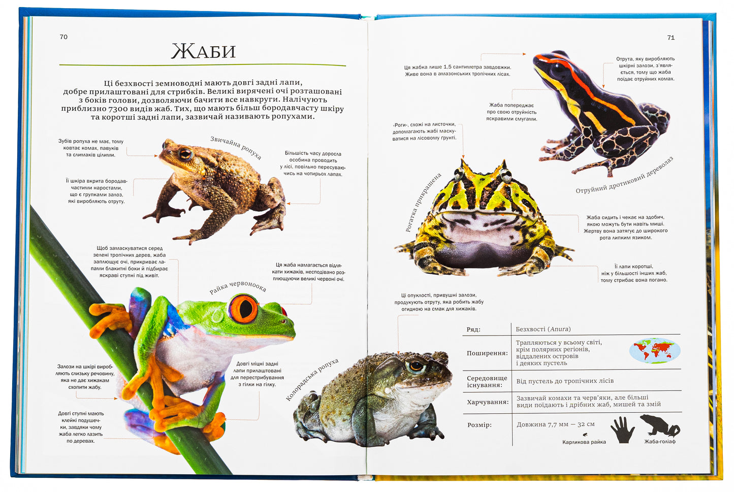 Велика книга тварин. Клаудія Мартин
