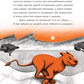 Африканський роман. Максим Беспалов