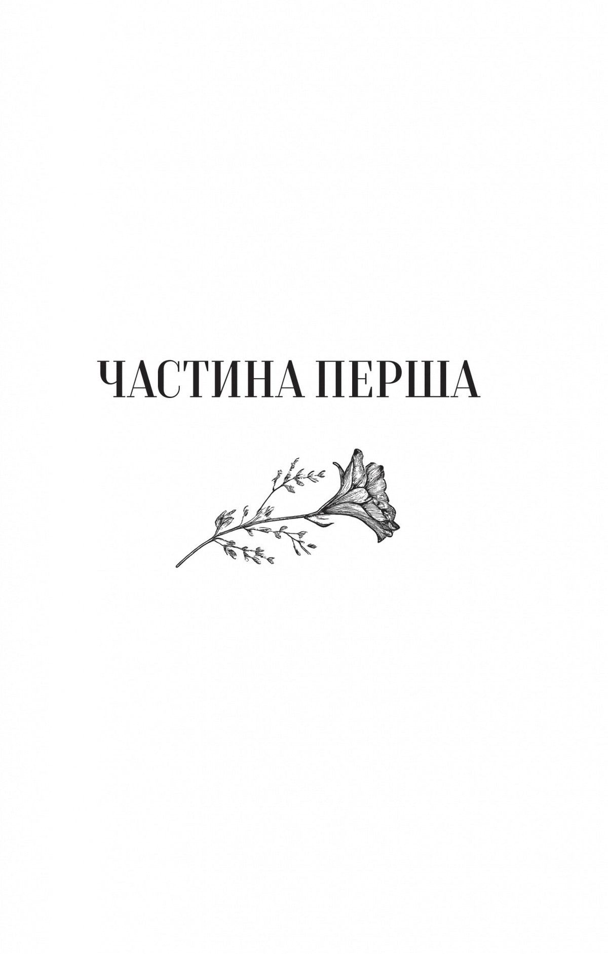 Те, що видно звідси. Маріана Лекі. Міжнародний Бестселер