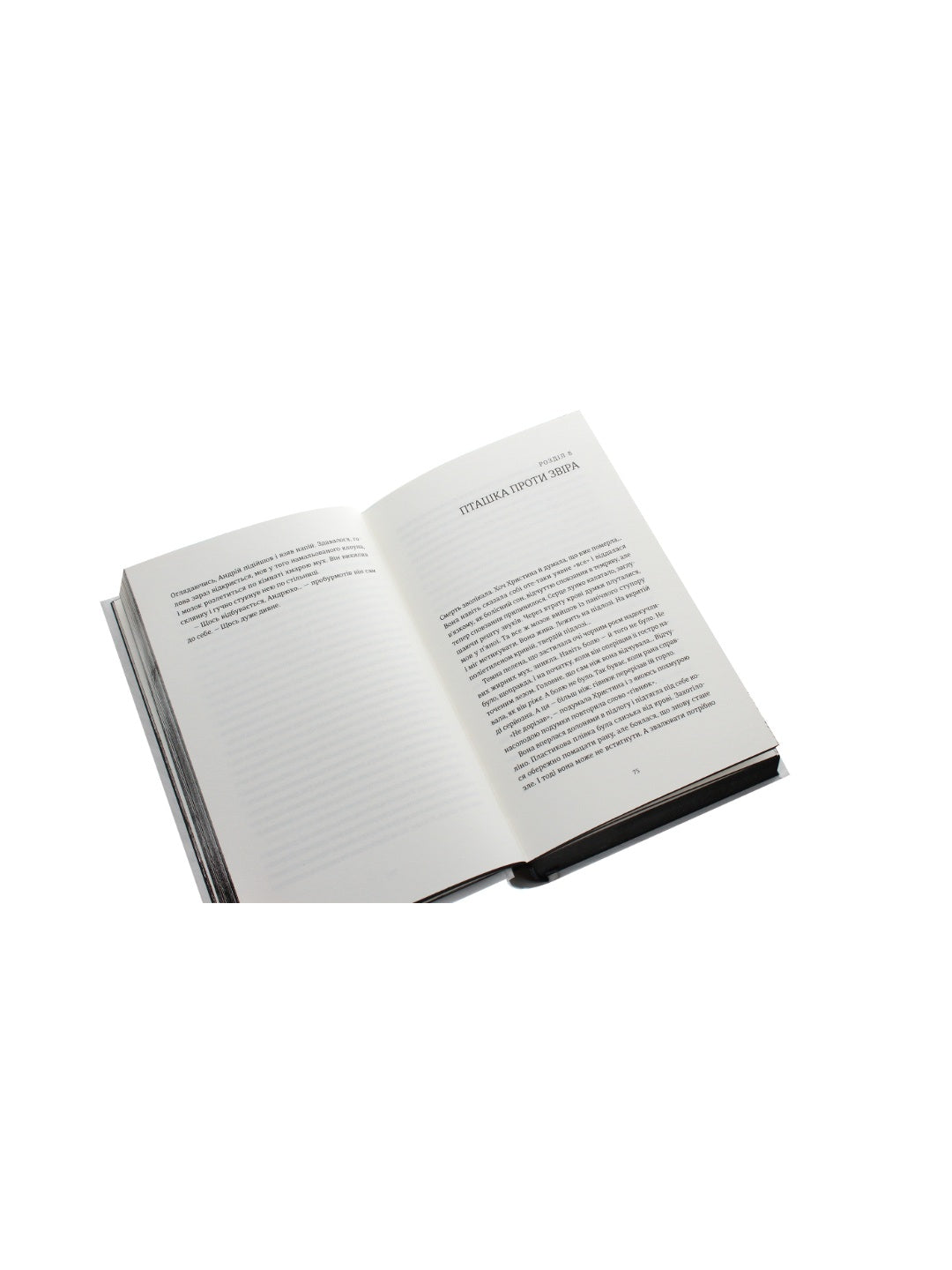 Я бачу, вас цікавить пітьма. Ілларіон Павлюк