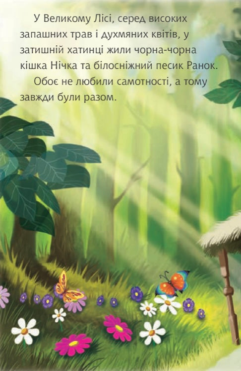 Чому Нічка посварилася з Ранком. Віктор Васильчук