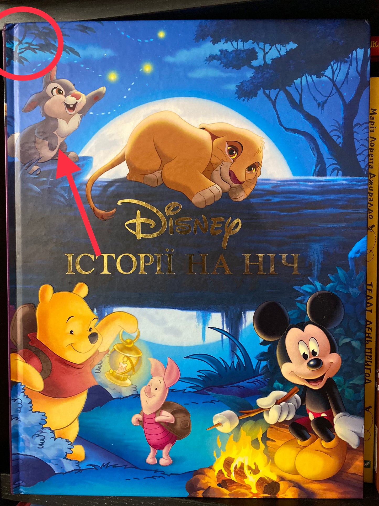 Історії на ніч. Disney